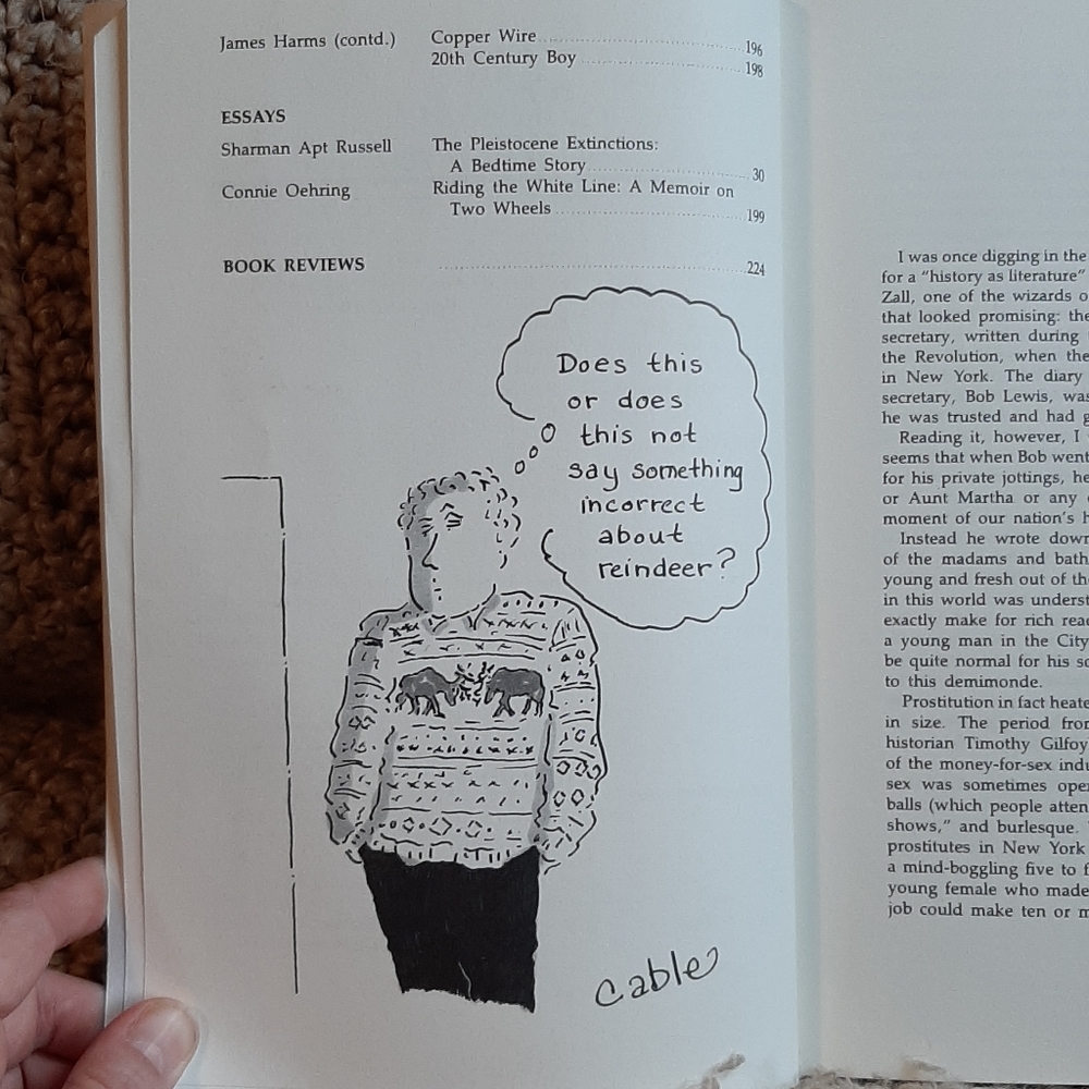 SOLD The Missouri Review Vol 18, No.2 - Picture 5 of 5